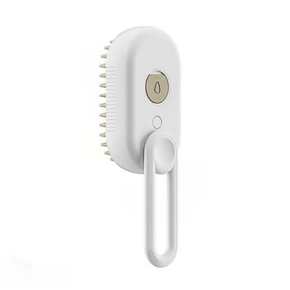 Cepillo de Vapor CleanPro